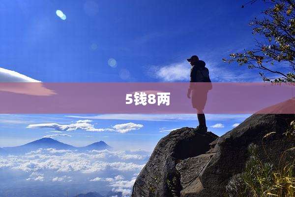 5钱8两