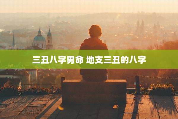 三丑八字男命 地支三丑的八字