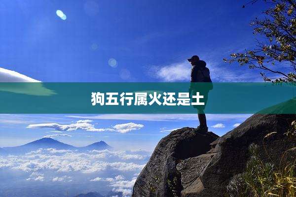 狗五行属火还是土