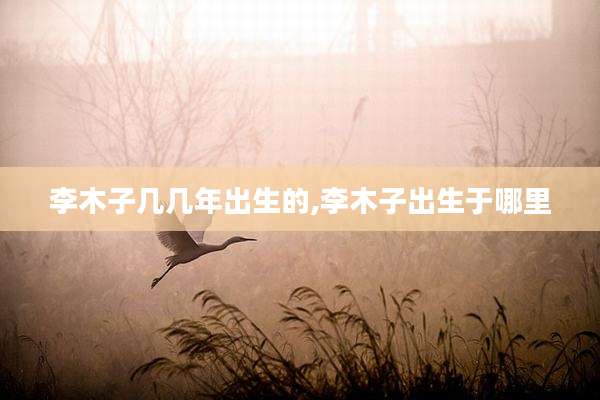 李木子几几年出生的,李木子出生于哪里