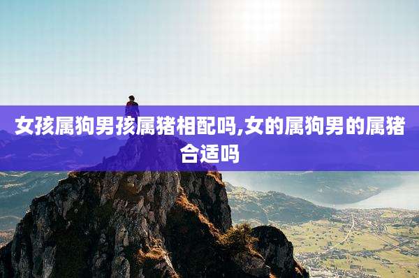 女孩属狗男孩属猪相配吗,女的属狗男的属猪合适吗