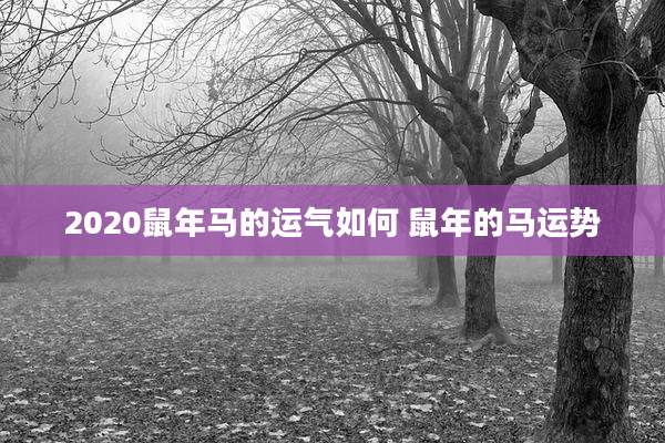 2020鼠年马的运气如何 鼠年的马运势