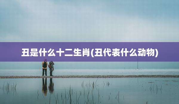 丑是什么十二生肖(丑代表什么动物)