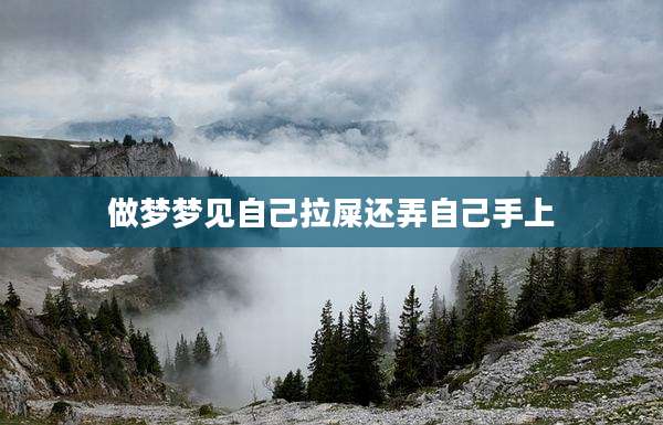 做梦梦见自己拉屎还弄自己手上