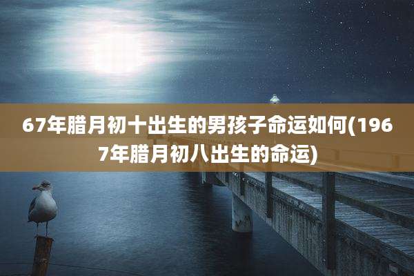 67年腊月初十出生的男孩子命运如何(1967年腊月初八出生的命运)