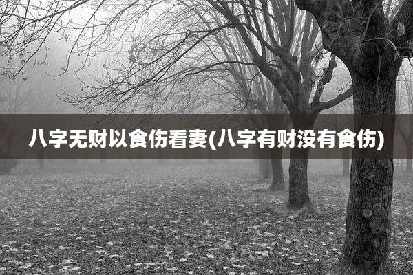 八字无财以食伤看妻(八字有财没有食伤)