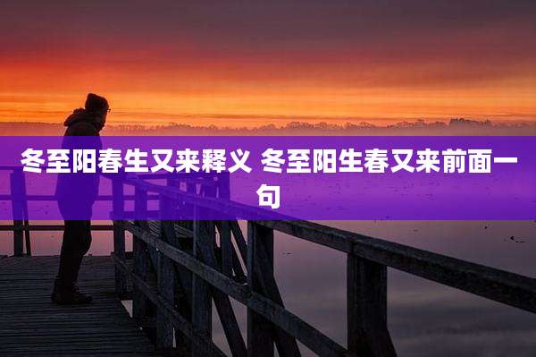 冬至阳春生又来释义 冬至阳生春又来前面一句