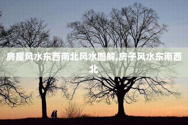 房屋风水东西南北风水图解,房子风水东南西北