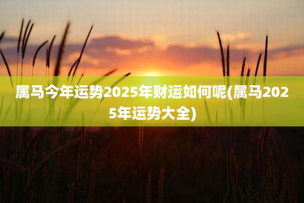 属马今年运势2025年财运如何呢(属马2025年运势大全)