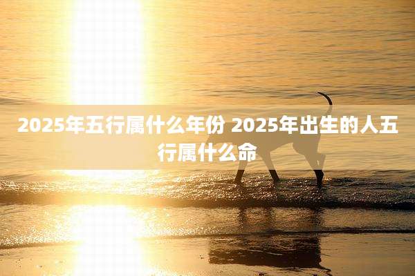 2025年五行属什么年份 2025年出生的人五行属什么命