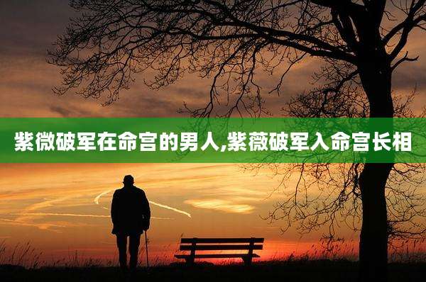 紫微破军在命宫的男人,紫薇破军入命宫长相