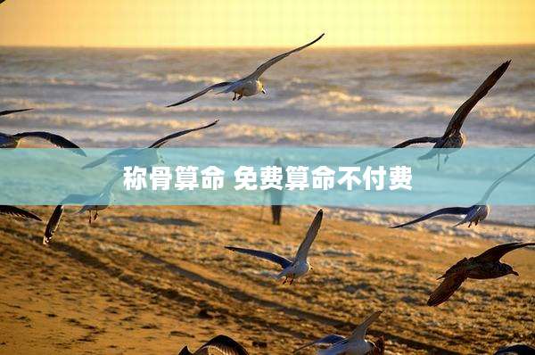 称骨算命 免费算命不付费