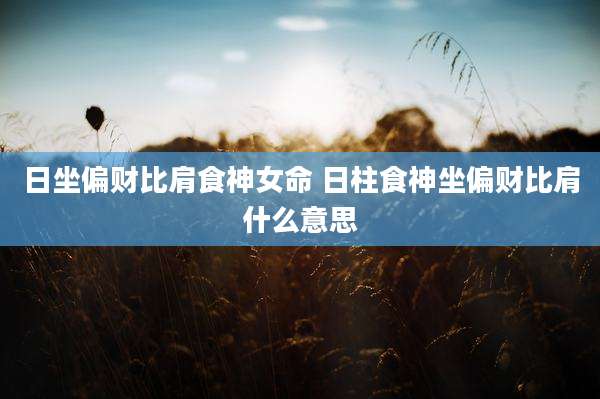 日坐偏财比肩食神女命 日柱食神坐偏财比肩什么意思