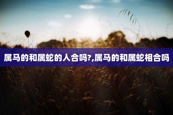 属马的和属蛇的人合吗?,属马的和属蛇相合吗