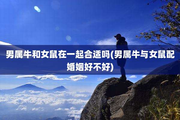 男属牛和女鼠在一起合适吗(男属牛与女鼠配婚姻好不好)
