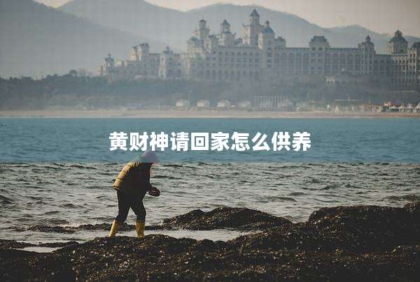 黄财神请回家怎么供养