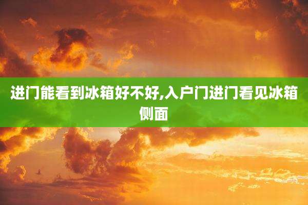 进门能看到冰箱好不好,入户门进门看见冰箱侧面