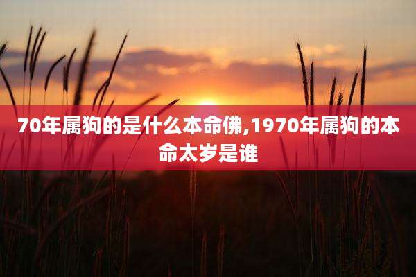 70年属狗的是什么本命佛,1970年属狗的本命太岁是谁