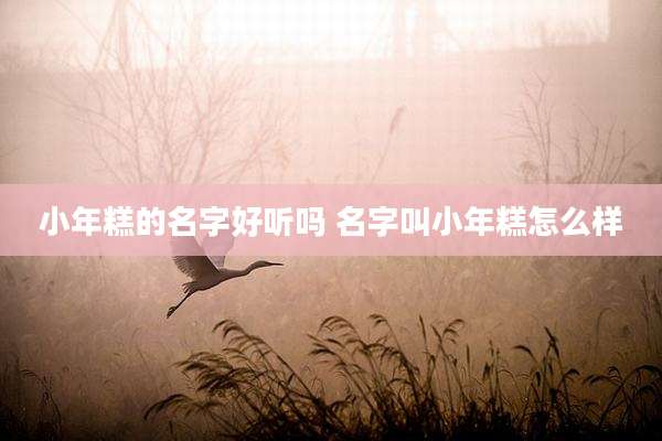 小年糕的名字好听吗 名字叫小年糕怎么样