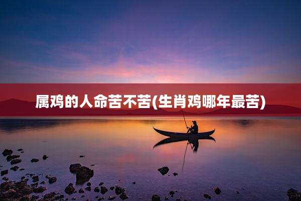 属鸡的人命苦不苦(生肖鸡哪年最苦)