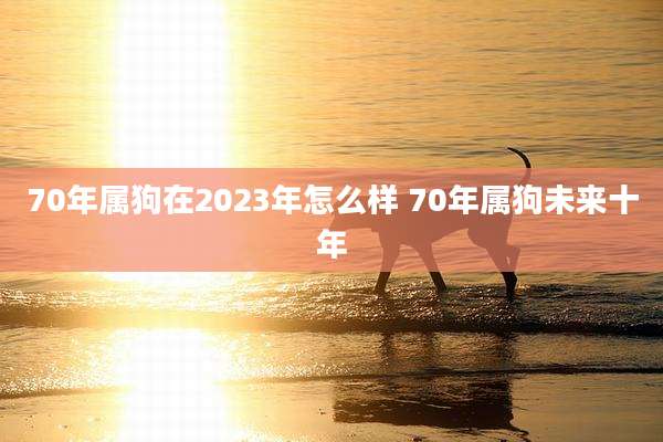 70年属狗在2023年怎么样 70年属狗未来十年