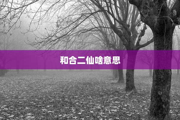 和合二仙啥意思