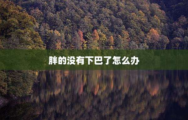胖的没有下巴了怎么办