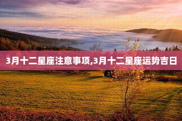 3月十二星座注意事项,3月十二星座运势吉日