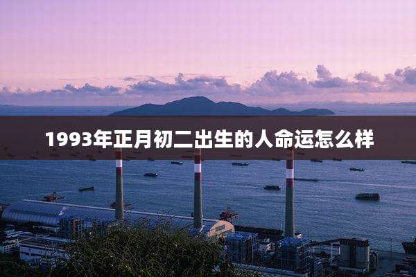 1993年正月初二出生的人命运怎么样