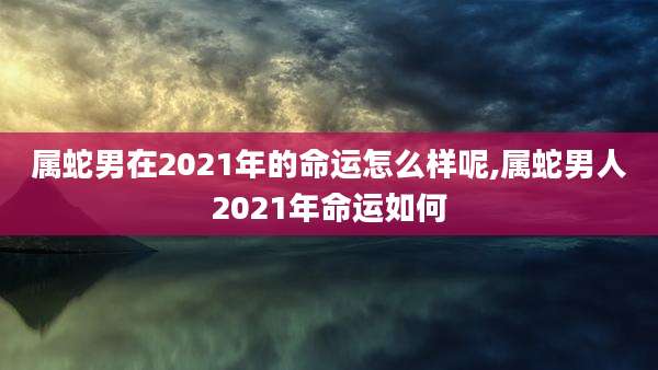 属蛇男在2021年的命运怎么样呢,属蛇男人2021年命运如何