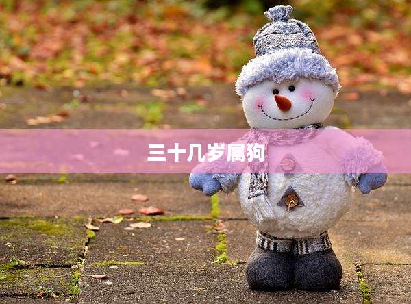 三十几岁属狗