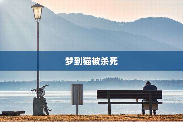 梦到猫被杀死