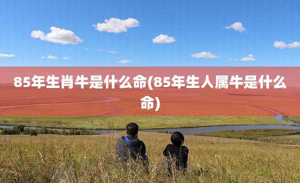 85年生肖牛是什么命(85年生人属牛是什么命)