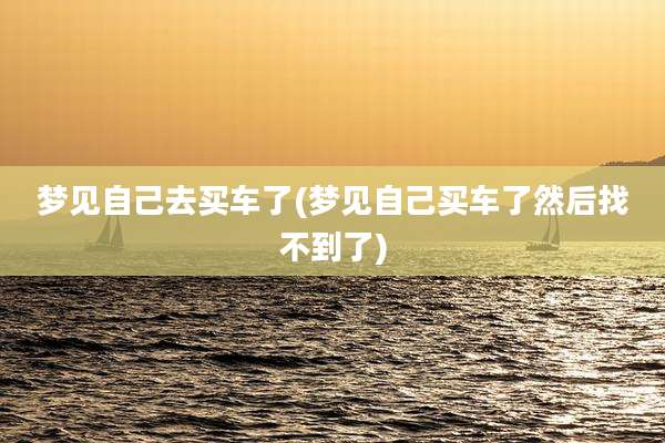 梦见自己去买车了(梦见自己买车了然后找不到了)