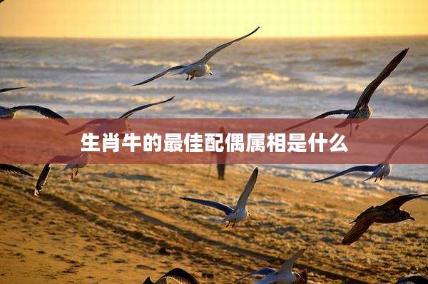 生肖牛的最佳配偶属相是什么