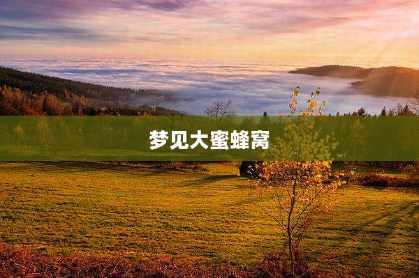 梦见大蜜蜂窝