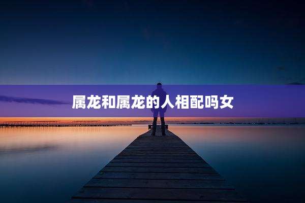 属龙和属龙的人相配吗女