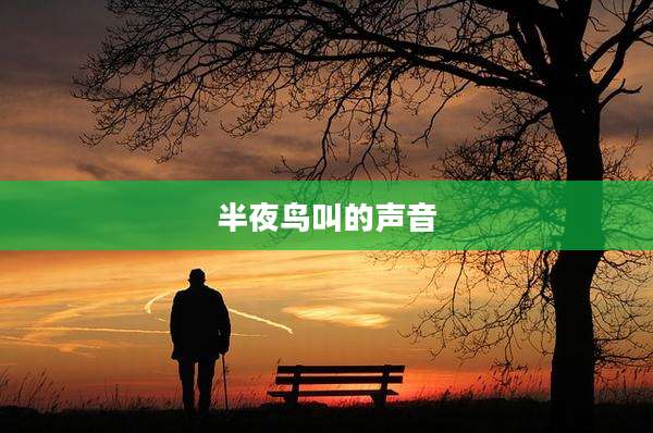半夜鸟叫的声音