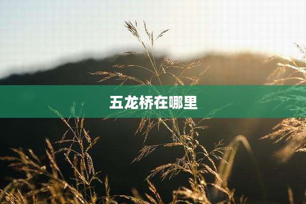 五龙桥在哪里