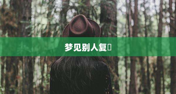 梦见别人复碈