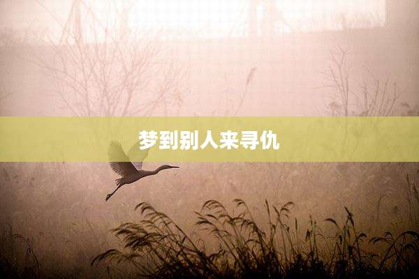 梦到别人来寻仇
