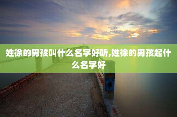 姓徐的男孩叫什么名字好听,姓徐的男孩起什么名字好