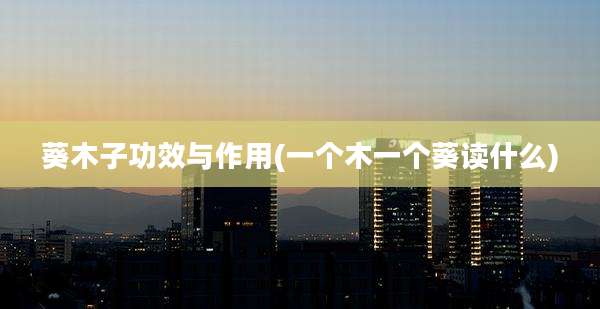 葵木子功效与作用(一个木一个葵读什么)