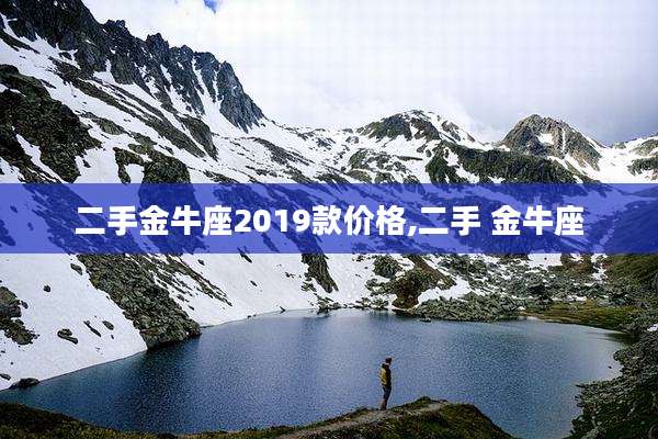 二手金牛座2019款价格,二手 金牛座