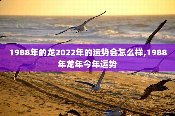 1988年的龙2022年的运势会怎么样,1988年龙年今年运势