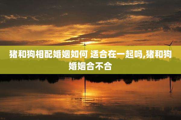 猪和狗相配婚姻如何 适合在一起吗,猪和狗婚姻合不合