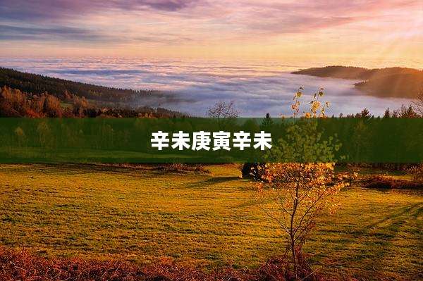 辛未庚寅辛未