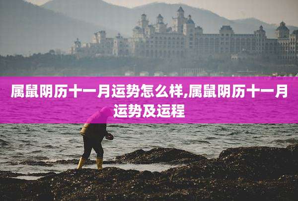 属鼠阴历十一月运势怎么样,属鼠阴历十一月运势及运程