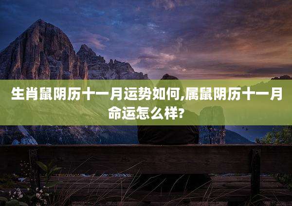 生肖鼠阴历十一月运势如何,属鼠阴历十一月命运怎么样?