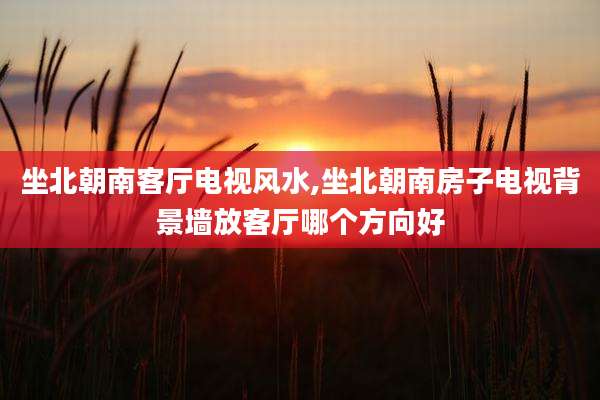 坐北朝南客厅电视风水,坐北朝南房子电视背景墙放客厅哪个方向好